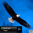 Picture for song 'Flight' by artist 'RedDress UK'
