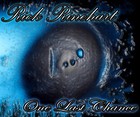 Picture for song 'Fear of Living Without You' by artist 'Rick Rinehart'