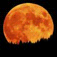 Picture for song 'An Orange and Graceful Moon' by artist 'Larrie Raaygum'