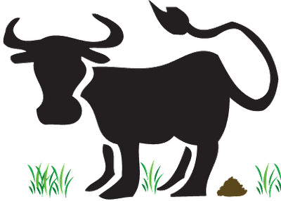 Picture for song 'Bullchit' by artist 'Riddler (US)'