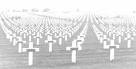 Picture for song 'Remembrance Day' by artist 'Rik King'
