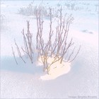 Picture for song 'Moon away to Oldies-Pump it' by artist 'Rinaldo'