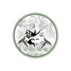 Picture for song 'Check My Swag' by artist 'RINGLEADERZ'