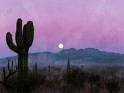Picture for song 'Desert Night' by artist 'Robert Hall'