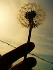 Picture for song 'Wish Away' by artist 'Robert Nathan Taylor'