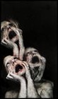 Picture for song 'XII' by artist 'Robert Nathan Taylor'