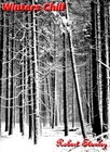 Picture for song 'Winters Chill' by artist 'Robert Stanley'