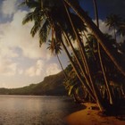 Picture for song 'You Need A Vacation' by artist 'Rob Staffig'