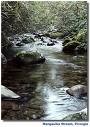 Picture for song 'Cry Me A River' by artist 'Rocky West'