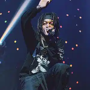 Picture for song 'Jid type beat - Flute' by artist 'Roger Sun'