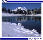 Picture for song 'Cold Trak II' by artist 'Rozzville'