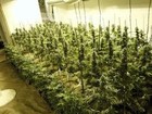 Picture for song 'Cali Kush **Wiz Khalifa Zone** FREE DL' by artist 'Rummy Beats'