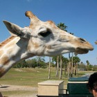 Picture for song 'Deeply' by artist 'Russell R Blair'