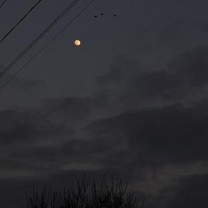 Picture for song 'playlist' by artist 'rydolph'