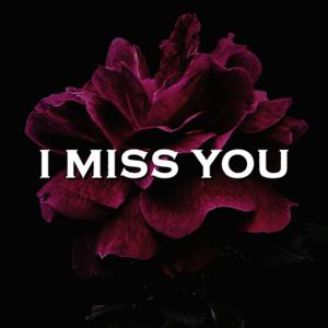 Picture for song 'I Miss You' by artist 'SadGlad Music'