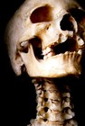 Picture for song 'Skeleton Crew-07-Death Of Me (2009)' by artist 'SAMHEIN'