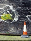 Picture for song 'Soundraves' by artist 'sarah's cone'
