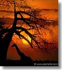 Picture for song 'Threshold of the Morn' by artist 'Scott Franco'