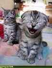 Picture for song 'LAUGH ABOUT' by artist 'SEAN CHRIST'