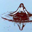 Picture for song 'meditate' by artist 'selekta konekta'