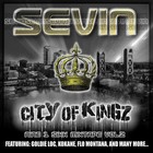 Picture for song 'Kry' by artist 'Sevinz Muzik'