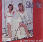 Picture for song '3) Je weet maar nooit' by artist 'ShaNaMusic'