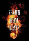 Picture for song 'trust me. Shawn heat beats' by artist 'shawn heat beatz'
