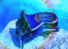 Picture for song 'The Piano Under the Sea' by artist 'Shif and Yoshie'
