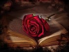 Picture for song 'One Beautiful Story' by artist 'Shiva Effect'