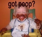 Picture for song '!Kid poop!' by artist 'SHO RHYME BEATS'