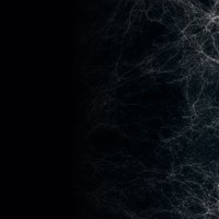 Picture for song 'Slow Hip-hop Beat' by artist 'Sino'