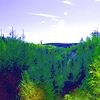Picture for song 'A Totally Unexpected Adventure' by artist 'Sirk (Norway)'