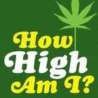 Picture for song 'How High' by artist 'SkeptikMC'