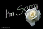 Picture for song 'SORRY' by artist 'Skitzproductions'
