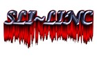 Picture for song 'SALVATION' by artist 'Sli-Linc'