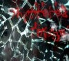 Picture for song 'Shattered Image' by artist 'Slit Throat'