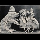Picture for song 'Niko the Kitten Rapist pt. 1' by artist 'Smiling all the Time'