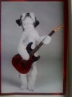 Picture for song 'Gary Allen-Get up off your feet!.mp3' by artist 'Solo Cloud Nine'
