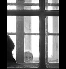 Picture for song 'I Was Never Happy' by artist 'Son Sound'