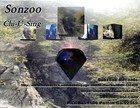 Picture for song 'Chi-U-Sing' by artist 'SONZOO'