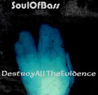 Picture for song 'Crazy Day Dreamer' by artist 'soulofbass'