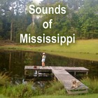 Picture for song 'Bonita Lake Stream 1' by artist 'Sounds of Mississippi'