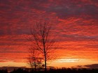 Picture for song 'Morning Sunrise' by artist 'Speech (US)'