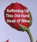 Picture for song 'SOFTENING UP THIS OLD HARD HEAD OF MINE' by artist 'Spud Martin sample'
