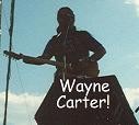 Picture for song 'TEAR DROPS BESIDES MY PILLOW - Wayne Carter' by artist 'Spud Martin sample'