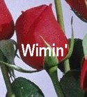 Picture for song 'WIMIN' - Demo' by artist 'Spud Martin sample'