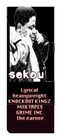 Picture for song 'KING FUTURE SeKOU featuring BaM!' by artist 'STACKED DECK INTERNATIONAL LEAGUE'