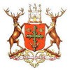 Picture for song 'Robin Hoods' by artist 'Stan Blade'