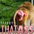 Picture for song 'That Ass' by artist 'Starky'