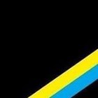 Picture for song 'Ukrainian freedom song' by artist 'Stepan Pasicznyk'